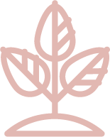 自然環境や未来を見据えたものであること