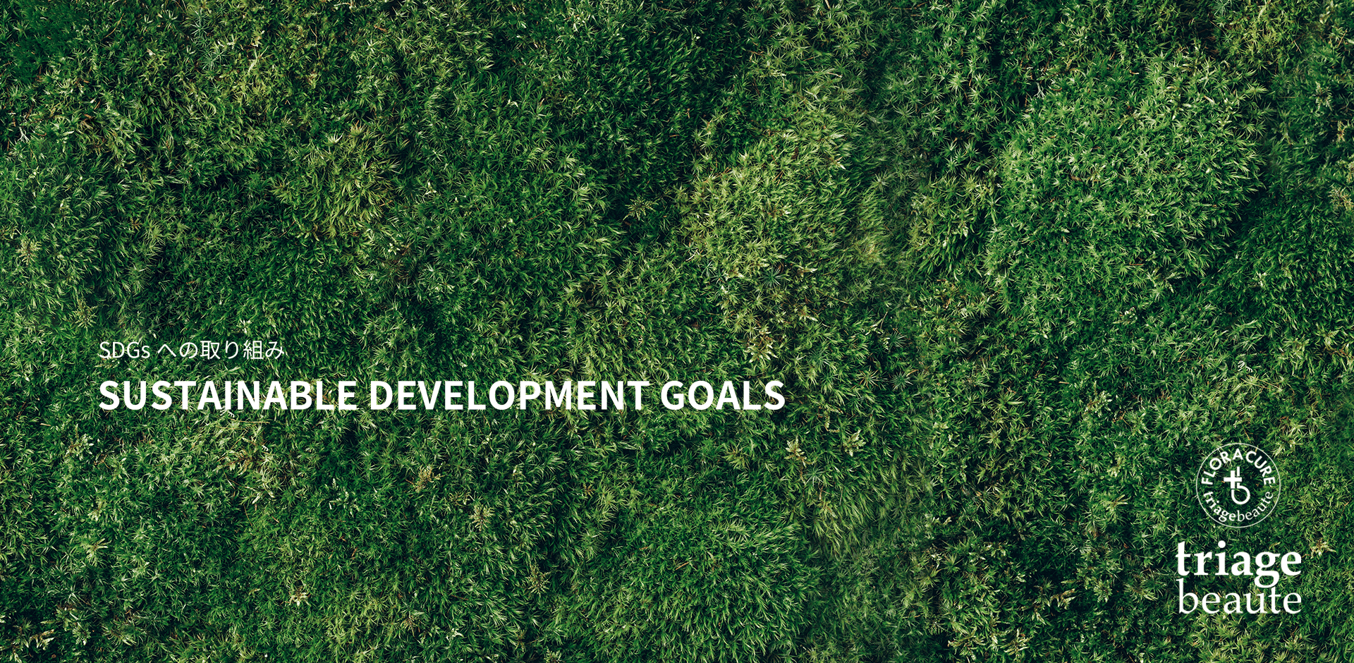 SDGs ｜ SDGsへの取り組み