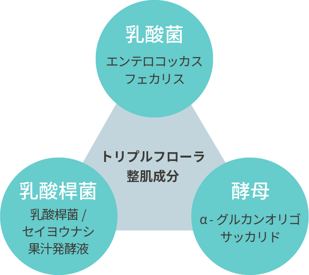 使い方はとってもシンプル「3steps」